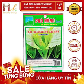 Mua Hạt Giống Cải Bẹ Xanh - Hạt Giống Cải Bẹ Xanh Mỡ Cao Sản Dễ Trồng  Năng Suất Cao