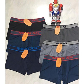 Combo 5 Quần lót nam thun lạnh dạng đùi hàng cao cấp thoáng mát Từ 40kg đến 75kg( màu ngẫu nhiên)