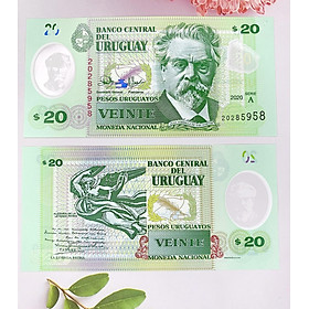 Mua Tiền 20 Pesos của Uruguay ở Nam Mỹ   tiền Polyme   tặng túi nilon bảo quản tiền