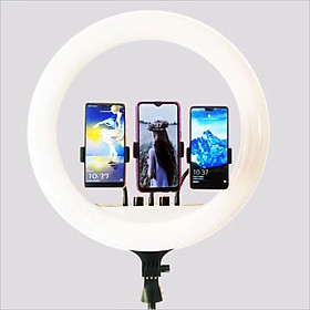 Đèn Led Hổ Trợ LiveStream ,Trang Điểm 36cm- 3 Giá Đỡ Điện Thoại