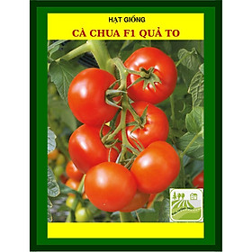 Mua Hạt Giống Cà Chua Quả To 1Gram