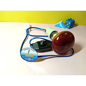 1 BỘ ĐÈN SƯỞI HỒNG NGOẠI 75W DÂY ĐIỀU CHỈNH NHIỆT (CHUI SỨ CHỊU NHIỆT) CHO CHIM,VẸT,HEO, VỊT,GÀ,CHÓ MÈO SƯỞI ẤM
