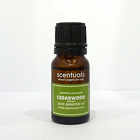 Tinh Dầu Hương Tuyết Tùng 10ml