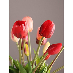 Mua Hoa giả  bó 5 bông tulip silicon loại cao cấp đẹp tự nhiên y thật trang trí phòng khách sang trọng TL-05