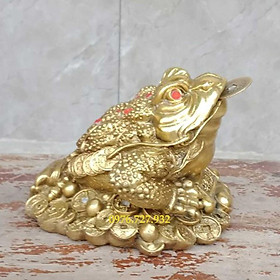 Mua Cóc phong thủy bằng đồng cao 10cm  cóc 3 chân bằng đồng  bán cóc 3 chân
