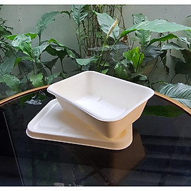 Mua 50 Hộp bã mía chữ nhật ( 750ml) nắp bã mía(180*124*56)