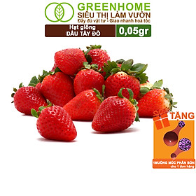 Mua Hạt Giống Dâu Tây Đỏ Greenhome  Gói 0 05gr  Chịu Nhiệt  Quả To  Dễ Trồng  Năng Suất Cao T17