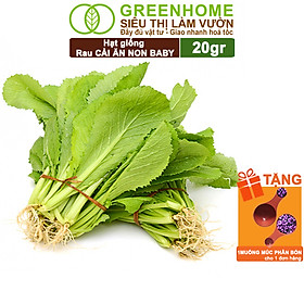 Mua Hạt Giống Rau Cải Ăn Non Greenhome  Gói 20g  Dễ Trồng Quanh Năm  Nảy Mầm Cao  Thu Hoạch Nhanh  Năng Suất Cao R05