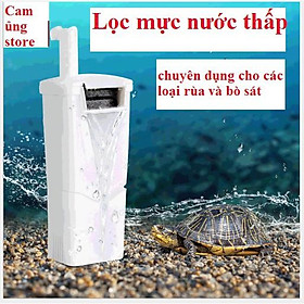 Mua Lọc thác chuyên dụng cho cho rùa- Máy lọc mực nước thấp cho bò sát