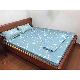 Bộ Ga Gối RIOTEX 4 Món Chất Cotton Cao Cấp Kích Thước 1m2/1m4/1m6/1m8 giao ngẫu nhiên