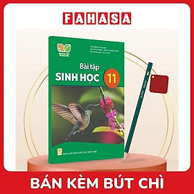 Sách Giáo Khoa Bài Tập Sinh Học 11 (Kết Nối) (Chuẩn) - Kèm Bút Chì