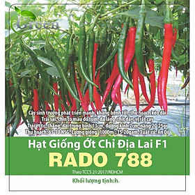Mua Hạt Giống Ớt Chỉ Địa Lai F1 Xuất Xứ Ấn Độ