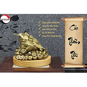 Mua Cóc Thiềm Thừ Ngậm Tiền Vàng Bằng Đồng nhỏ (11cm) - Linh Vật Chiêu Tài Lộc Cho Ban Thờ Thần Tài Thêm Cát Khí