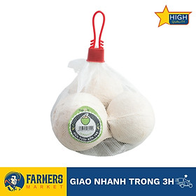 Combo 3 trái dừa tươi Bến Tre size M