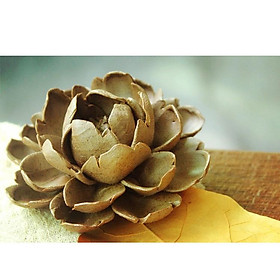 Mua Hoa gốm cắm trầm nghệ thuật DDT47