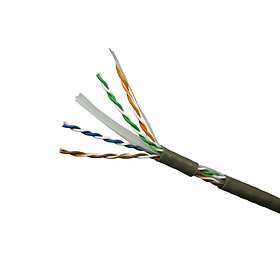 Cáp mạng DINTEK Cable CAT6 UTP 100m (1101-04005CH) - Hàng Chính Hãng