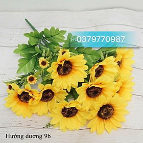 Mua Hoa hướng dương   Bình hoa hướng dương  hàng rào hoa trang trí