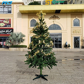 Cây Thông Noel 1m8 Xanh Tặng Ngôi Sao Đỉnh Và Dây Kim Tuyến Đẹp Trang Trí Giáng Sinh Ngoài Trời Trong Nhà Nhánh Cây Dày Dặn Màu Xanh Tiêu Chuẩn