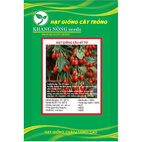 Mua Hạt Giống Quả Câu Kỷ Tử - GojiBerry KNS3524 - Gói 50 hạt