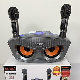 Mua Loa Karaoke Bluetooth Mini SD-306 Loa Hát Karaoke Đa Năng Tặng Kèm 2 Micro Không Dây - BH 6 Tháng