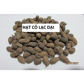 Mua Hạt giống cỏ lạc dại 100 hạt