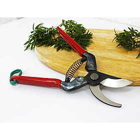 Kéo cắt cành Chikamasa PST-8