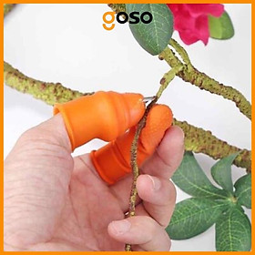 Mua Bao Ngón Tay Cao Su Ngắt Rau Thu Hoạch Nông Sản Tiện Lợi
