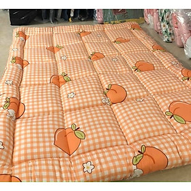 Mua Tấm Lót Nệm Đa Năng Topper - Quả Đào