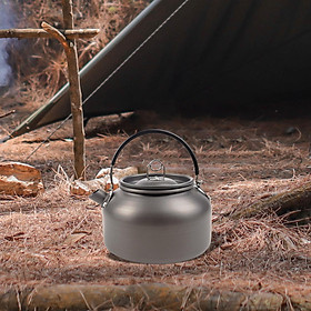 Camping Hot Water Kettle Camp Tea Coffee Pot 800ml Whistling Water Kettle for Open Fire Mini Kettle Teapot Kettle for Kitchen Mountaineering