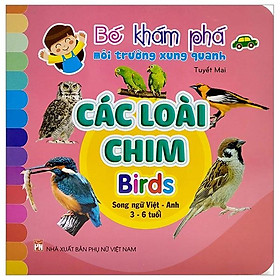 [Download Sách] Bé Khám Phá Môi Trường Xung Quanh: Các Loài Chim - Birds (Song Ngữ Việt - Anh)