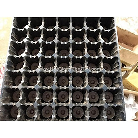 Mua 01 Khay Vỉ Ươm Khay Ươm RẤT DÀY  Vừa Viên Nén Nảy Mầm 49 Lỗ 36x36 (C5.300)