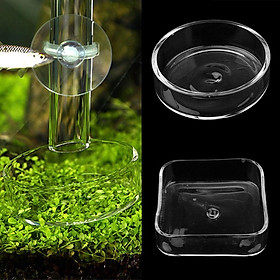 2x Glass Shrimp Feeding Feeder Food Bowl Dish Tray for Aquarium   Tank