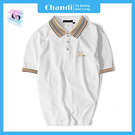 Áo Thun Nam Ngắn Tay Thương Hiệu Chandi, Chất Thun Cotton Xịn Mẫu Mới NH22