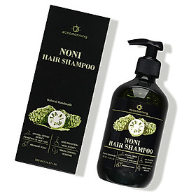 Dầu Gội Tinh Chất Trái Nhàu eccomorning Noni Hair Shampoo 500 ml