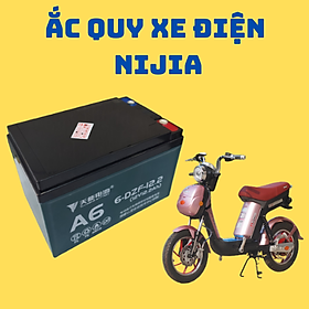 ẮC QUY XE ĐIỆN CHUYÊN SỬ DỤNG CHO DÒNG XE ĐẠP ĐIỆN NIJIA - SIÊU BỀN - TUỔI THỌ DÀI - NGÀY SẢN XUẤT GẦN - QUÃNG ĐƯỜNG ĐI ĐƯỢC LÊN TỚI 60KM - LOẠI 12V-12AH