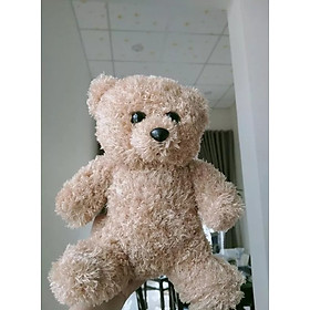 Gấu Teddy lông xù đáng yêu