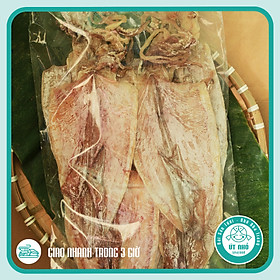 MỰC ỐNG KHÔ - SIZE LỚN (10 Con/500gr)