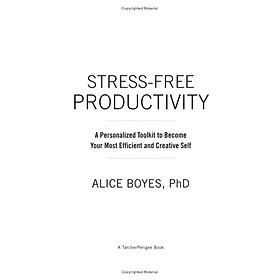 Stress-Free Productivity: A Personalised Toolkit To Become Your Most Efficient, Creative Self