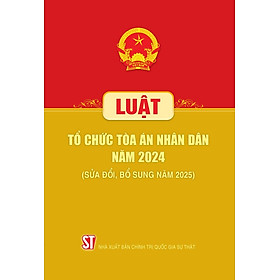 Luật Tổ chức Tòa án nhân dân năm 2024 (sửa đổi, bổ sung năm 2025) - Dan Nicholson