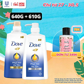 Combo Dove Phục Hồi Hư Tổn Dầu Gội 640g + Kem Xả 610g