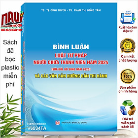 Sách Bình luận Luật Tư pháp người chưa thành niên năm 2024 (sửa đổi, bổ sung năm 2025) - V6034TA
