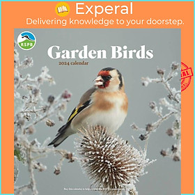 Sách - RSPB Garden Birds Square Wall Calendar 2024 by  (UK edition, paperback)