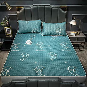 Mua Chiếu Điều Hòa Cao Su Non 2D - Cá Heo Xanh