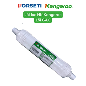 Mua Lõi số 2 kangaroo (lõi HK) hydrogen T33 to  than GAC  máy KG100HK  KG10A4  KG100ES  KG100EO - Hàng chính hãng