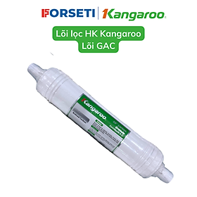 Lõi số 2 kangaroo (lõi HK) hydrogen T33 to, than GAC  máy KG100HK, KG10A4, KG100ES, KG100EO - Hàng chính hãng