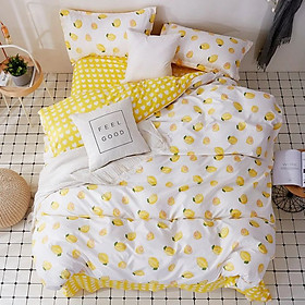Bộ chăn ga gối Cotton cao cấp 1m6x2m MNT237