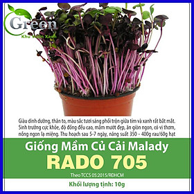 Hạt Giống Rau Mầm Củ Cải MALADY