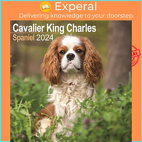Sách - Cavalier King Charles Calendar 2024  Square Dog Breed Wall Calendar - 16 Month by  (UK edition, paperback)