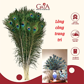 Mua Bộ 20 lông công phong thuỷ dài 90-100cm | Vật phẩm phong thuỷ
