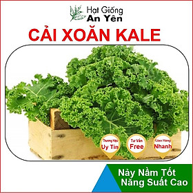 Hạt giống Cải Xoăn Kale, nhanh thu hoạch, dễ trồng, nảy mầm và năng suất cao